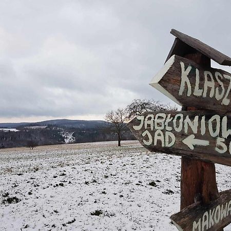 Jabloniowy Sad Kalwaria Paclawska Villa Buitenkant foto