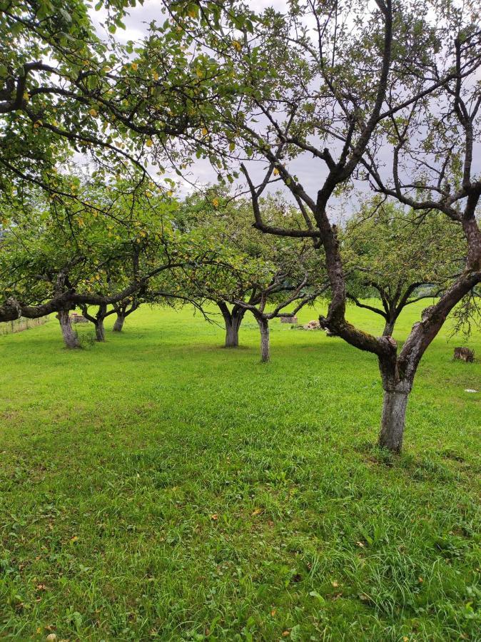 Jabloniowy Sad Kalwaria Paclawska Villa Buitenkant foto