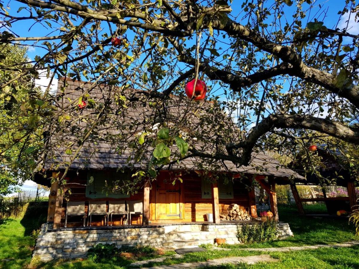 Jabloniowy Sad Kalwaria Paclawska Villa Buitenkant foto