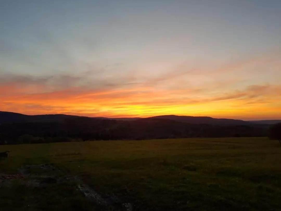 Jabloniowy Sad Kalwaria Paclawska Villa Buitenkant foto