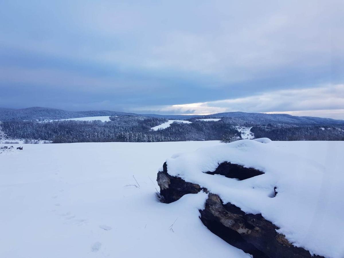 Jabloniowy Sad Kalwaria Paclawska Villa Buitenkant foto