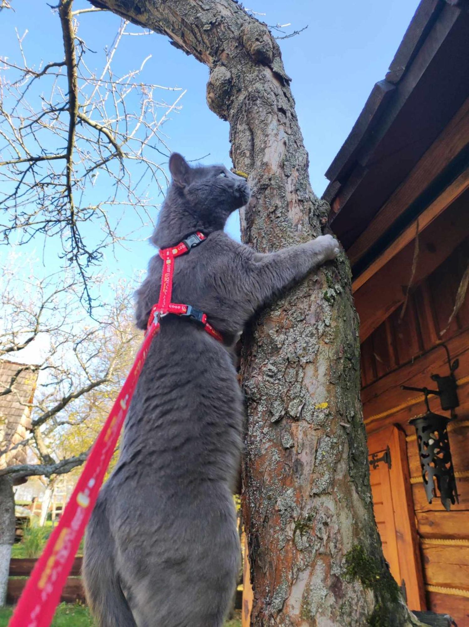 Jabloniowy Sad Kalwaria Paclawska Villa Buitenkant foto