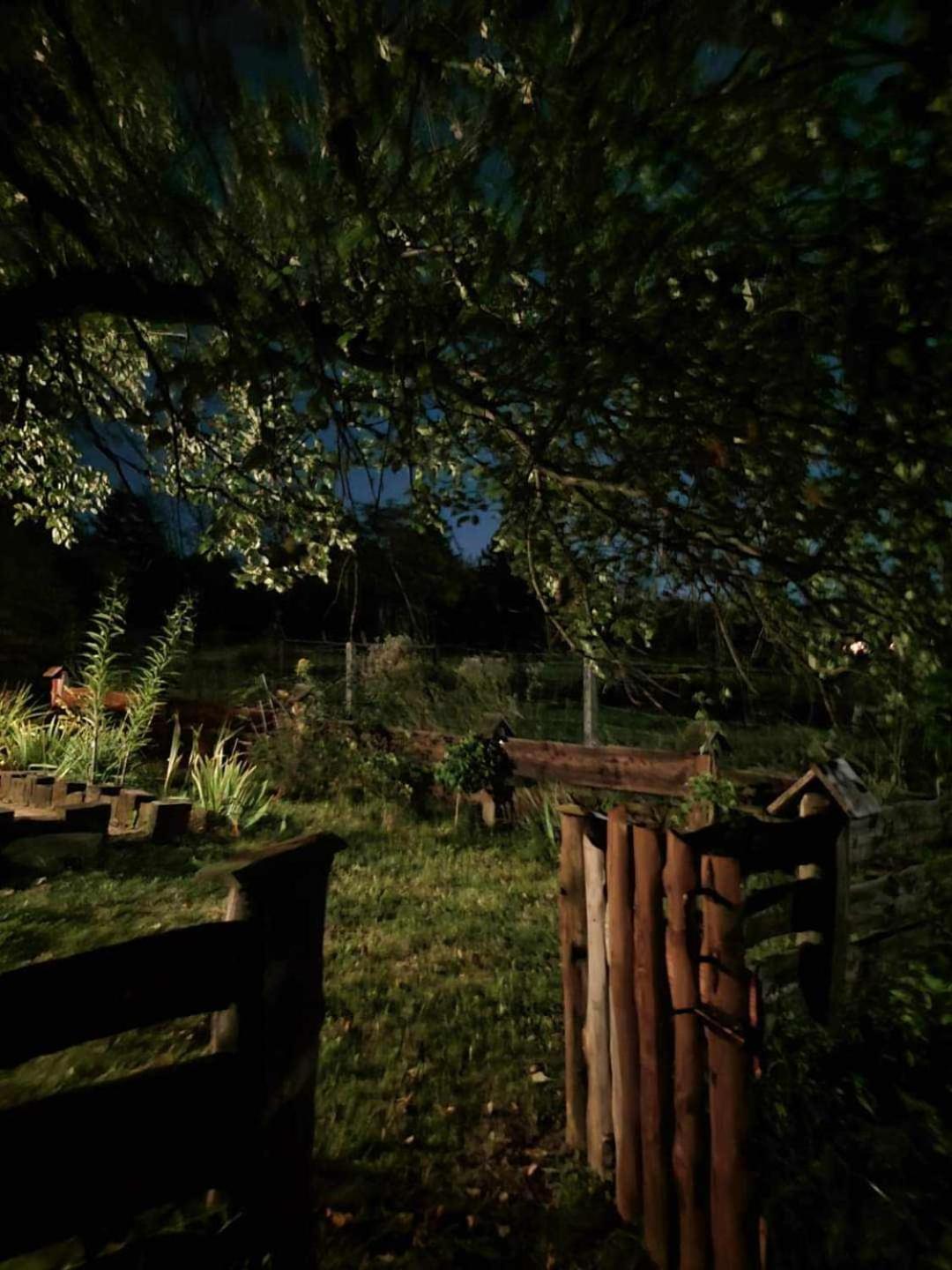 Jabloniowy Sad Kalwaria Paclawska Villa Buitenkant foto